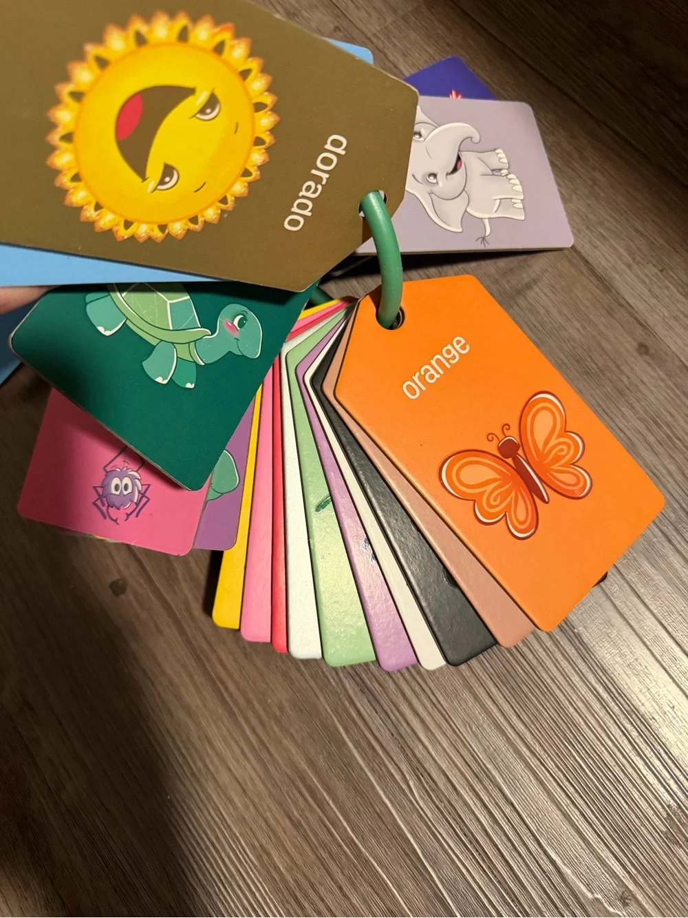 Kids Color & Shape Learning Cards - Multi-Color- like new